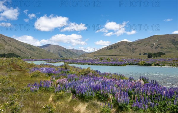 Ahuriri River