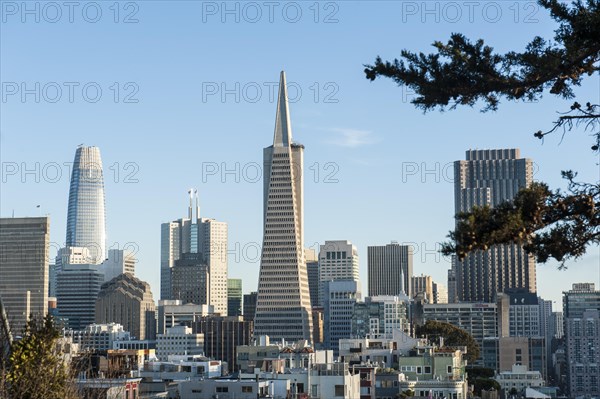 View of the city from Telegraph Hill