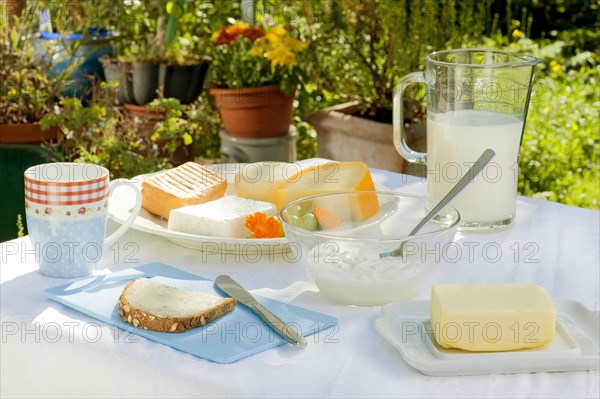 Laid breakfast table in the garden with dairy products