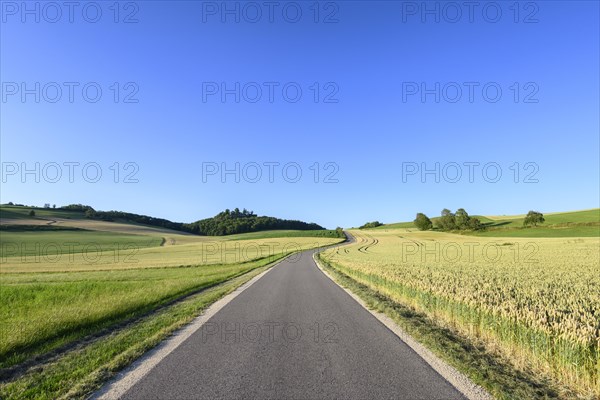 Country road leads through volcanic landscape Hegau