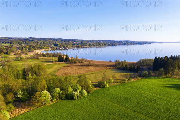 Carp angle at Starnberger See