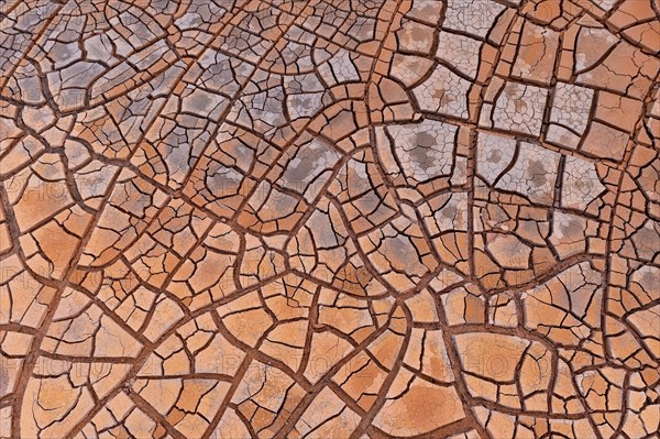 Cracks in clay soil form mosaic-like structure