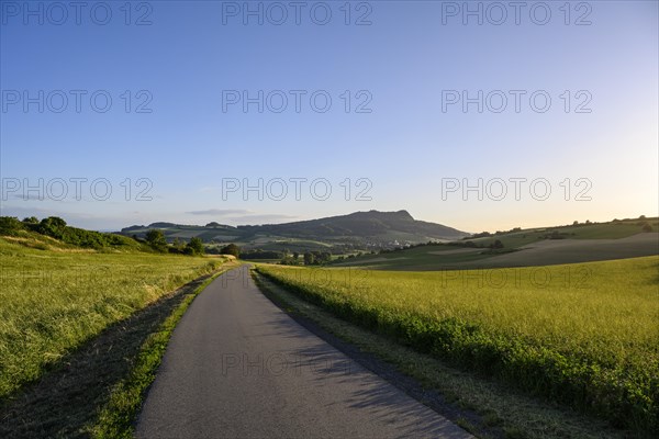 Country road leads through the volcanic landscape of Hegau