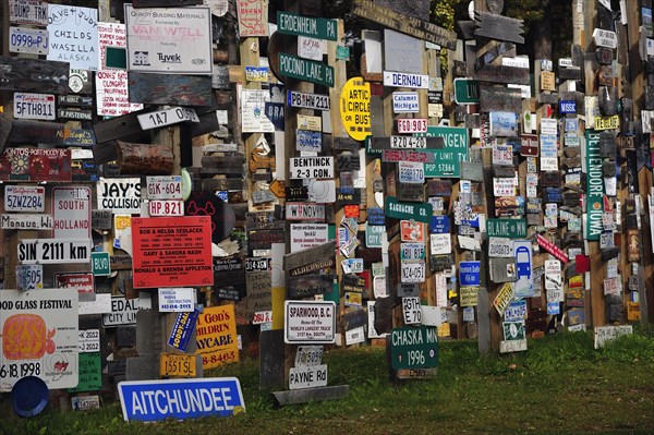 Sign Post Forest