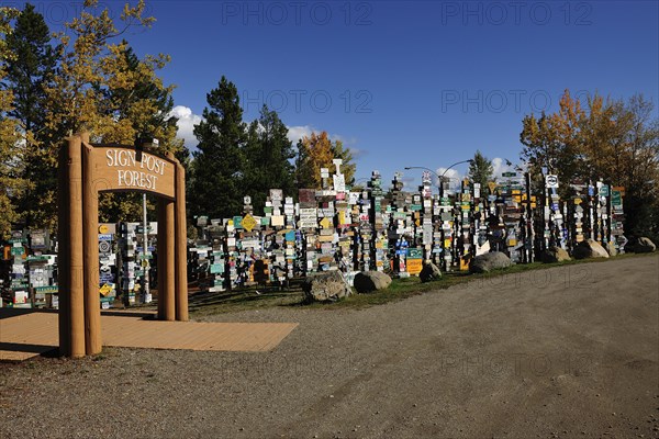 Sign Post Forest