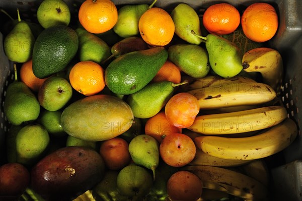 Fruit box with different fruits