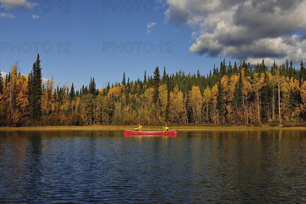 Couple canoeing in lake