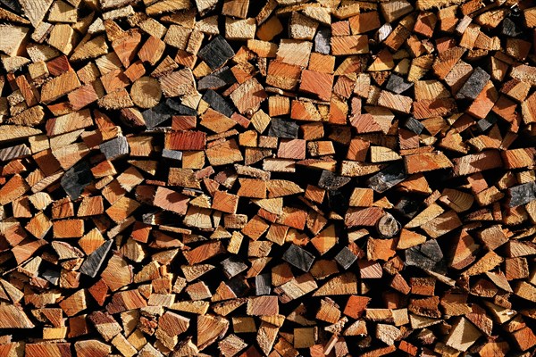 Firewood stacks