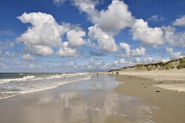 Beach between dunes and North Sea