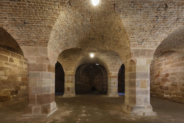 Cellar vault in the Pellerhaus