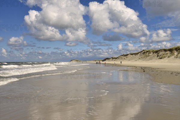 Beach between dunes and North Sea