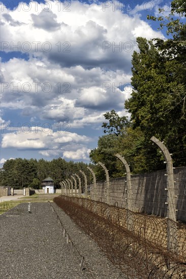 Barbed wire and electric fence