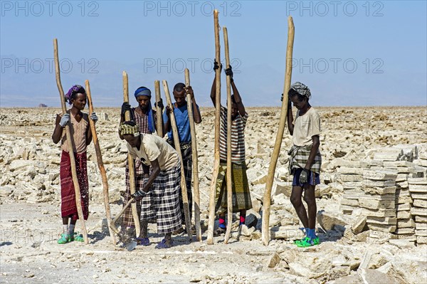 Traditional mining of salt at the Assale Salt Lake