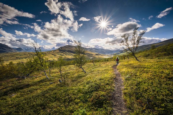 Female hiker in wide landscape