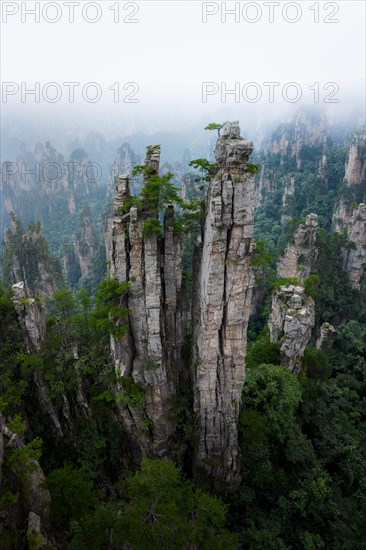 Avatar Mountains in fog