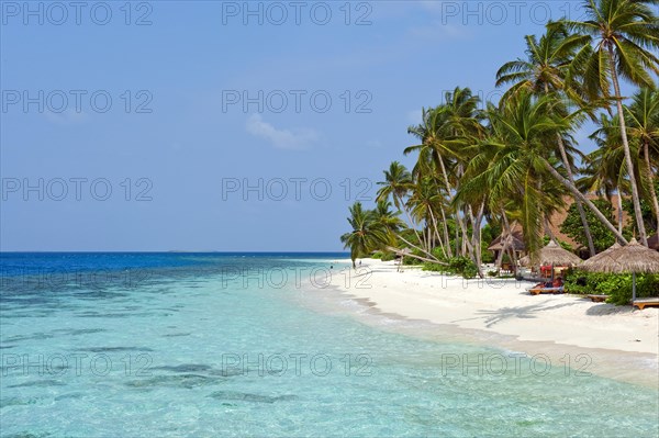 Lagoon and beach with (Cocos nucifera)