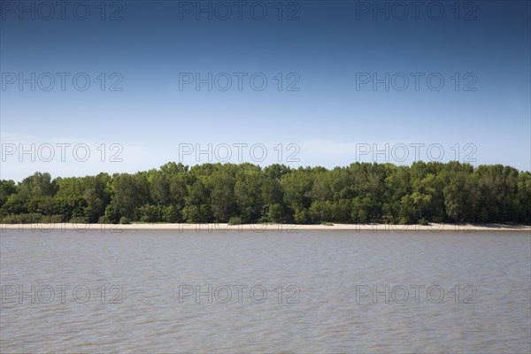 Beach on the river Elbe