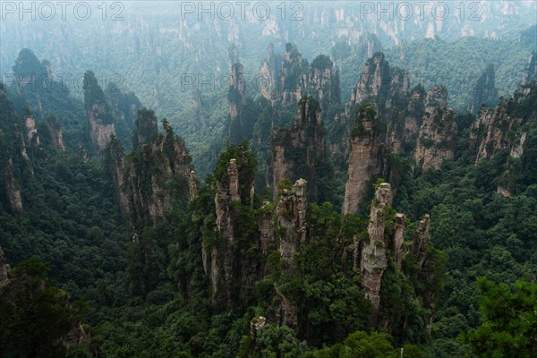 Avatar Mountains in fog