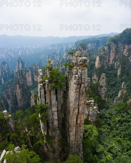 Avatar Mountains in fog