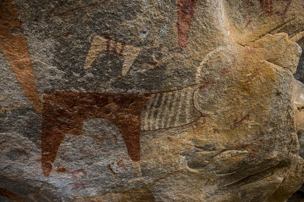 Cave paintings in Laas Geel caves