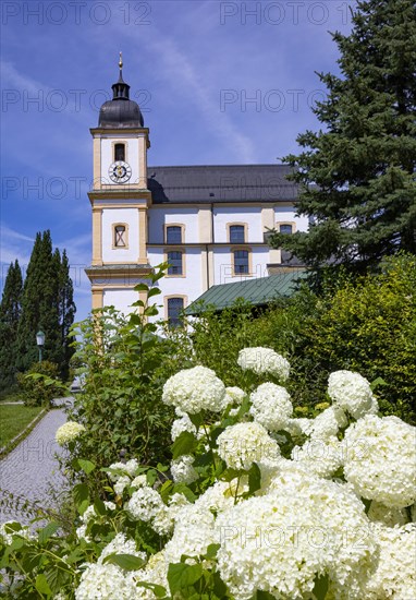 Pilgrimage basilica Maria Himmelfahrt