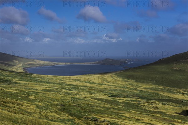 Landscape on Carcass Island