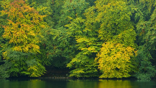 View of the lake Schmaler Luzin in the Feldberger Seenlandschaft in autumn