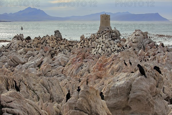 Stony Point Nature Reserve