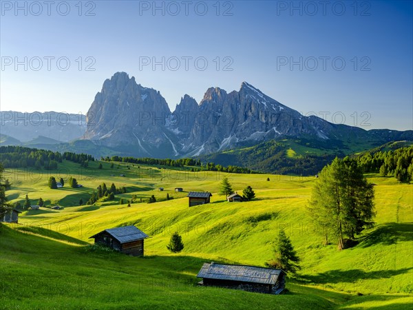 Alpe di Siusi