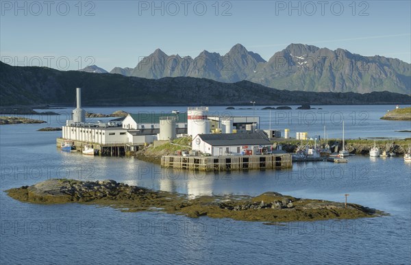 Fishing company in Svolvaer