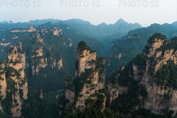 Avatar Mountains in fog