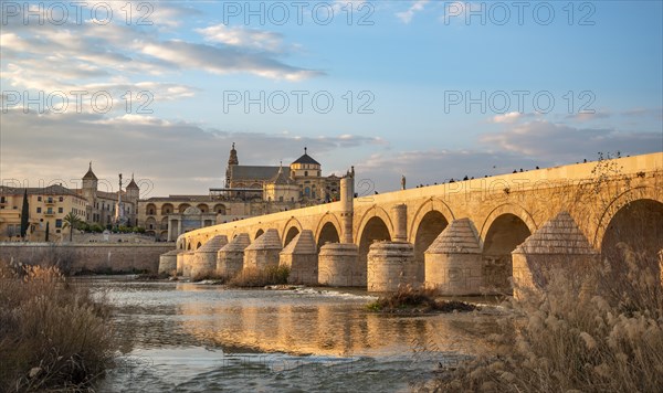 Puente Romano