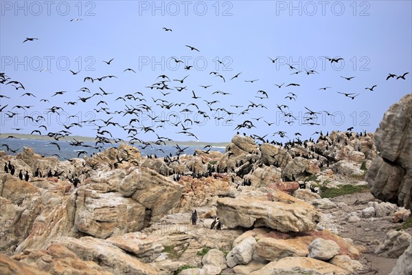 Stony Point Nature Reserve