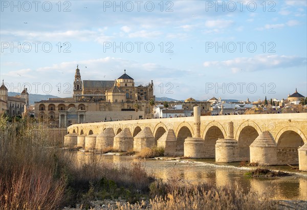 Puente Romano