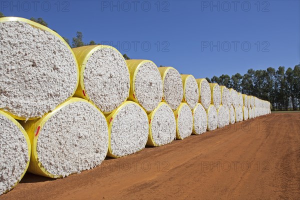 Stacks of cotton in Mato Grosso state