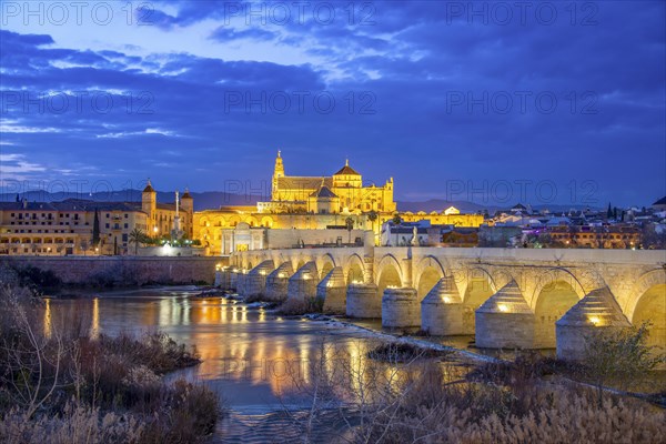 Illuminated Puente Romano