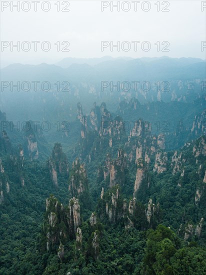 Avatar Mountains in fog