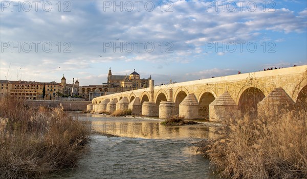 Puente Romano