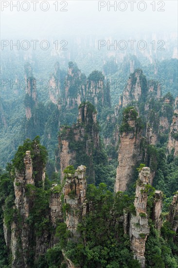 Avatar Mountains in fog