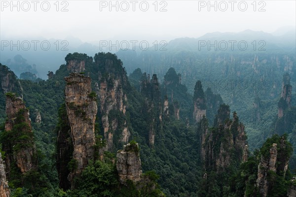 Avatar Mountains in fog