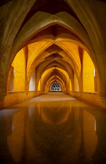 Historical rainwater tanks