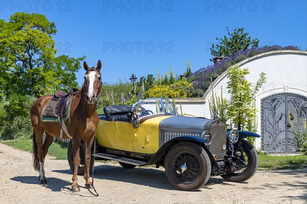 Oldtimer Delage DISS