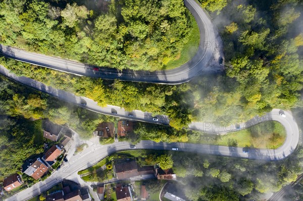 Serpentine road in morning fog