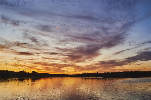 Nature reserve Grosser Russweiher at sunset