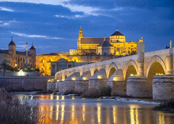 Illuminated Puente Romano