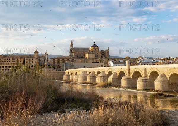 Puente Romano