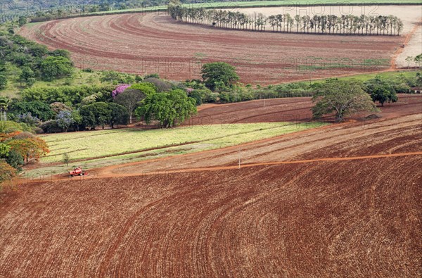 Aerial View of Farm with Harvested Sugarcane Crops
