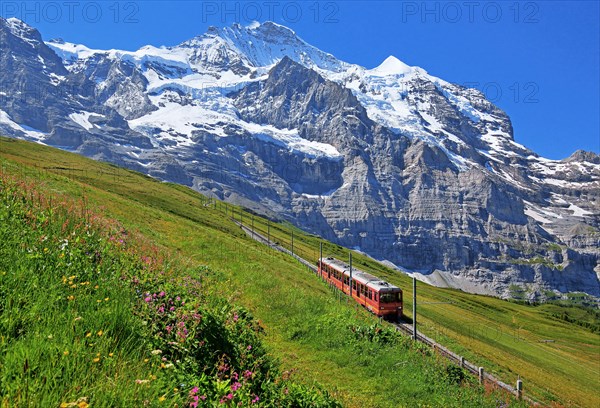 Jungfrau Railway at Kleine Scheidegg in front of the Jungfrau-Massif