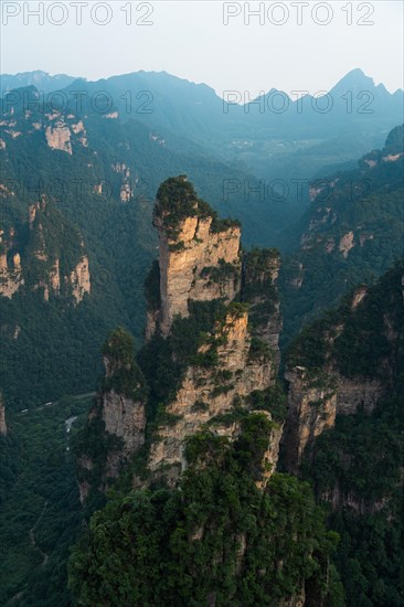 Avatar Mountains in fog