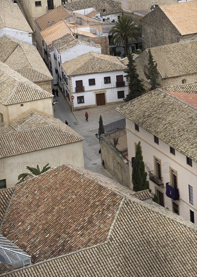 Village view with tiled roofs